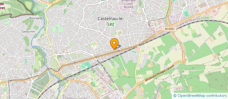localisation de l'entreprise OCTANE CONSULTING à CASTELNAU-LE-LEZ