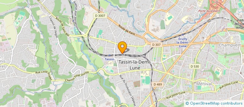 localisation de l'entreprise OCTAVE CONSEIL  TASSIN-LA-DEMI-LUNE