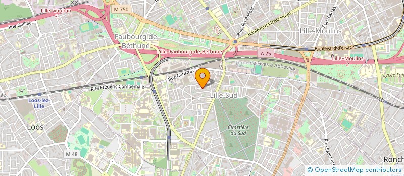 localisation de l'entreprise ODISEO AGENCY à LILLE