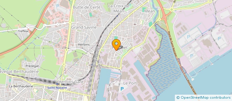 localisation de l'entreprise ODISEYA  SAINT-NAZAIRE