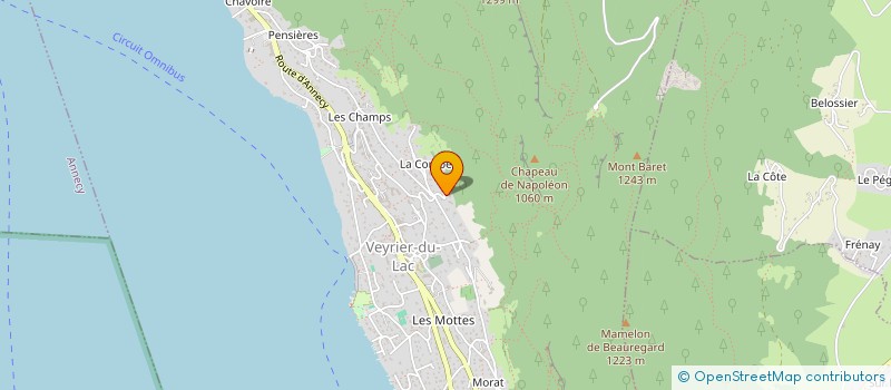 localisation de l'entreprise ODYSSEUS IMMO  VEYRIER-DU-LAC