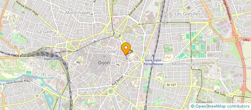 localisation de l'entreprise OENOSUITE  DIJON