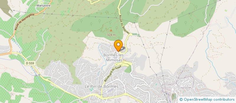 localisation de l'entreprise OFFICE MUNICIPAL DE TOURISME  BORMES-LES-MIMOSAS