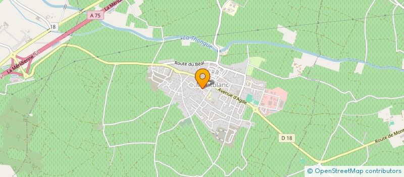 localisation de l'entreprise OFFICE MUNICIPAL DES SPORTS DE LA CULTURE ET DES LOISIRS DE MONTBLANC  MONTBLANC