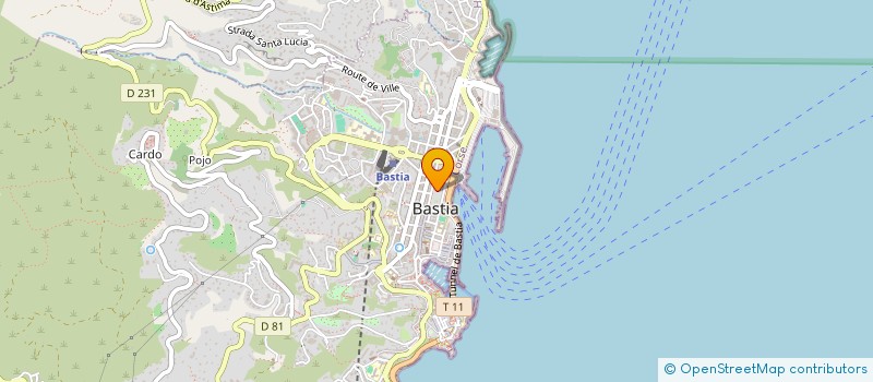localisation de l'entreprise OFFICE TOURIS SYNDIC INITI BASTIA ENVIRO à BASTIA