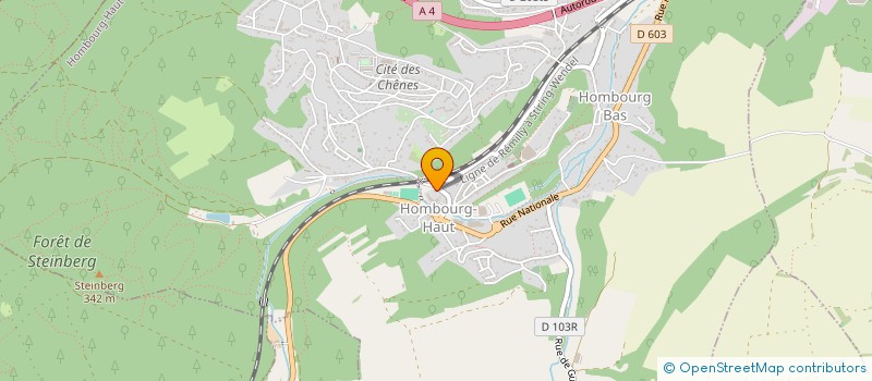 localisation de l'entreprise OFFICE TOURISME-SYNDICAT D INITIATIVE  HOMBOURG-HAUT