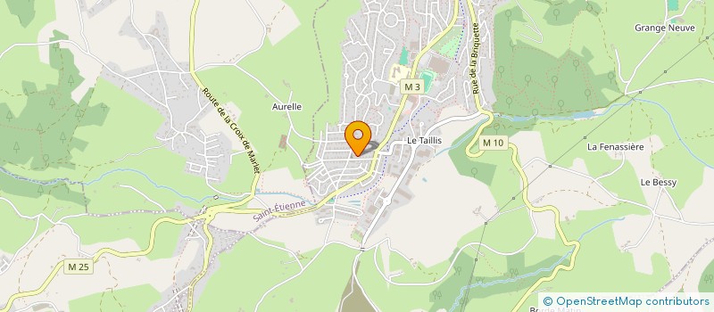 localisation de l'entreprise OGEC BEAULIEU ROCHE LA MOLIERE  ROCHE-LA-MOLIERE