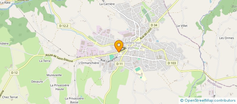 localisation de l'entreprise OGEC DU GROUPE SCOLAIRE RAOUL FOLLEREAU à CHAZELLES-SUR-LYON