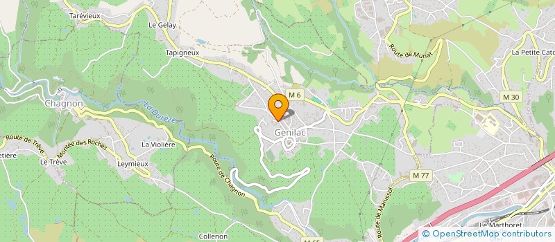 localisation de l'entreprise OGEC ECOLE DU GRAND CEDRE  GENILAC