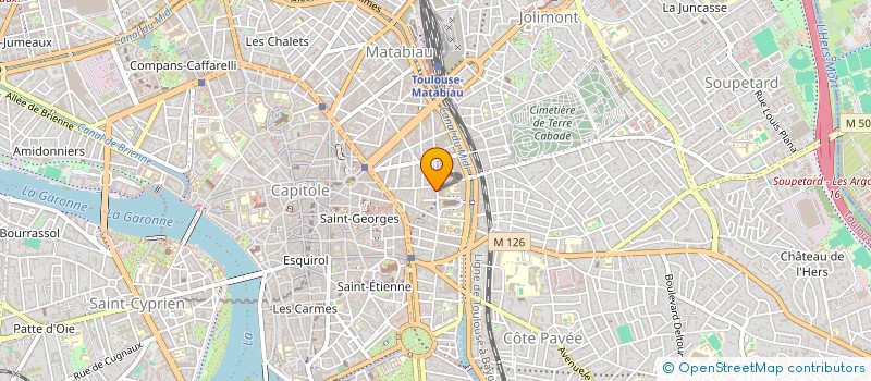 localisation de l'entreprise OGN HOLDING INVEST'  TOULOUSE