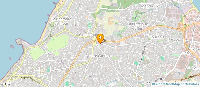 localisation de l'entreprise OKAPIANA INVEST à TOULOUSE