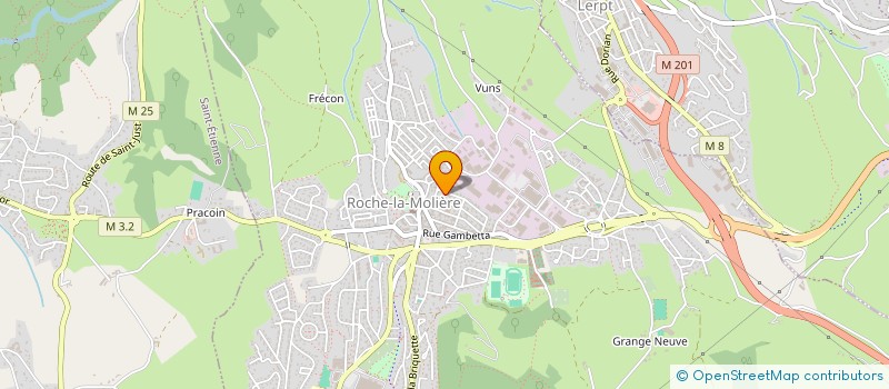 localisation de l'entreprise OLD BIKE RACING  ROCHE-LA-MOLIERE