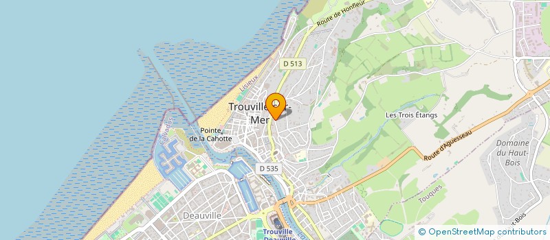 localisation de l'entreprise OLIVETTE 2 à TROUVILLE-SUR-MER
