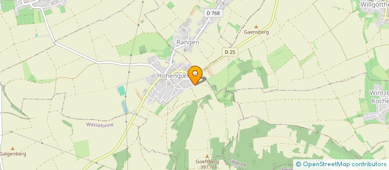 localisation de l'entreprise OLIVIER FRIEDRICH CONSULTING  HOHENGFT