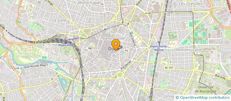 localisation de l'entreprise OLS HOLDING  DIJON