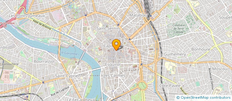 localisation de l'entreprise OLYMPIC INVEST DOM DIX à TOULOUSE