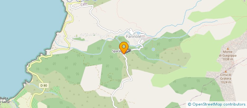 localisation de l'entreprise OLZO à PATRIMONIO