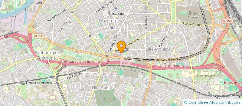 localisation de l'entreprise OMMI START  LILLE