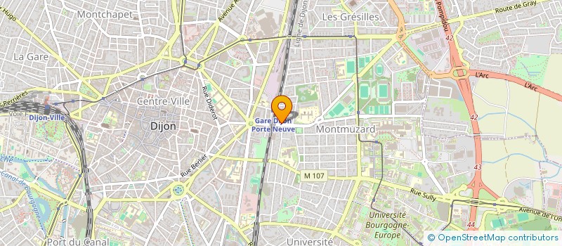 localisation de l'entreprise OMNES IMMO  DIJON