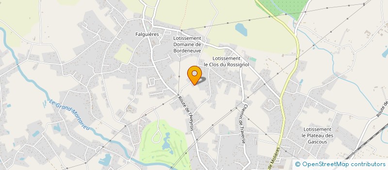 localisation de l'entreprise OMNISPORTS-LOISIRS DE FALGUIERES  MONTAUBAN