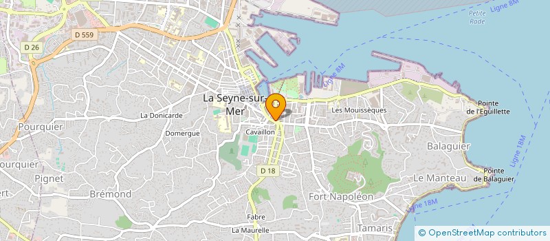 localisation de l'entreprise OMNIUM TRAVAUX DU BATIMENT  LA SEYNE SUR MER