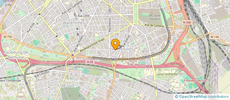 localisation de l'entreprise OMNIZONE59 à LILLE