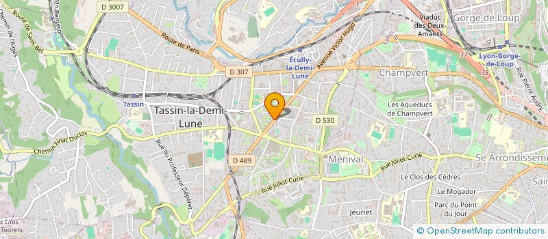 localisation de l'entreprise ON NEM à TASSIN-LA-DEMI-LUNE