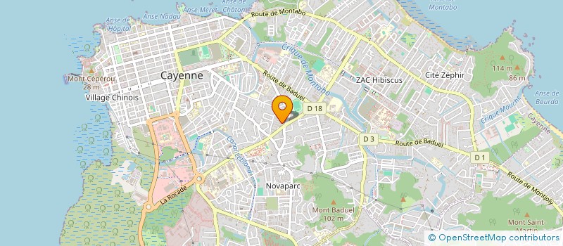 localisation de l'entreprise ONE MILLION DEPOTE à CAYENNE