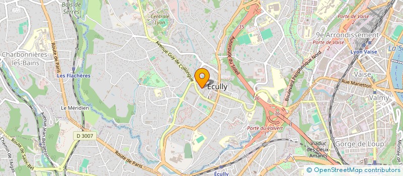 localisation de l'entreprise OPAH VENTURES  ECULLY