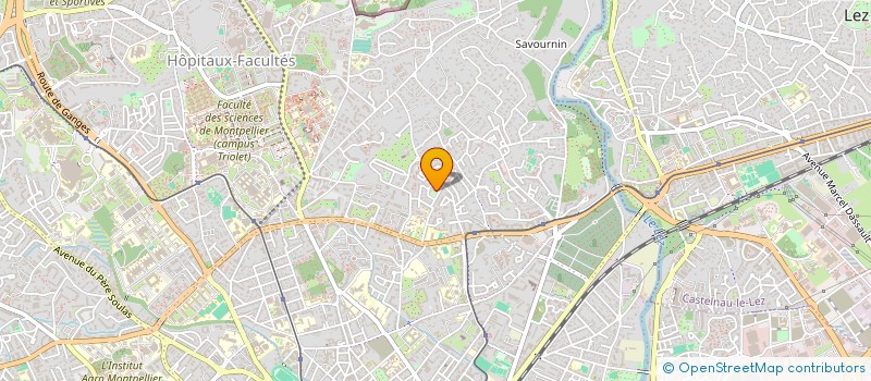 localisation de l'entreprise OPELA ORGANISME POUR L'ENSEIGNEMENT DES LANGUES AUTREMENT à MONTPELLIER