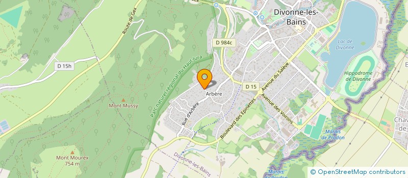 localisation de l'entreprise OPEN RIVES à DIVONNE-LES-BAINS