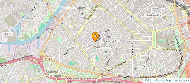localisation de l'entreprise OPENINGS à LILLE