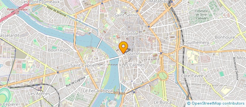 localisation de l'entreprise OPLDLM à TOULOUSE