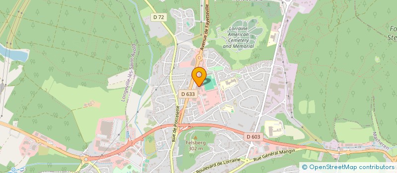 localisation de l'entreprise OPPUS WALTER  SAINT-AVOLD