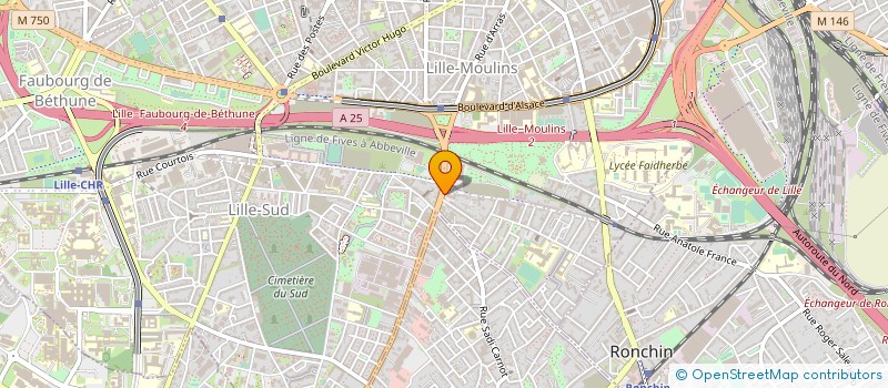 localisation de l'entreprise OPTIMISATION CONSEIL AUDIT INFORMATIQUE à LILLE
