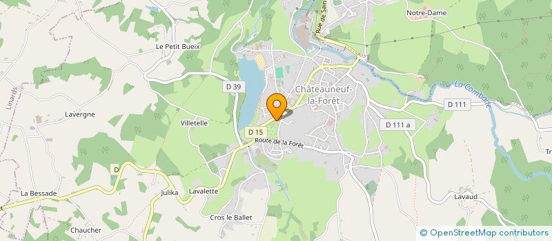localisation de l'entreprise OPTIQUE DE LA FORET à CHATEAUNEUF-LA-FORET