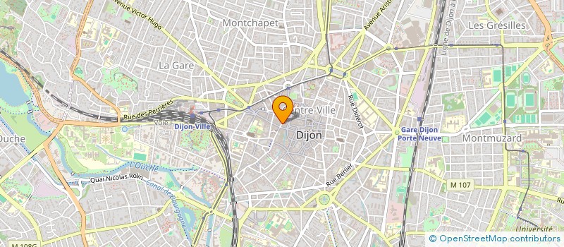 localisation de l'entreprise OPTIQUE DES GODRANS à DIJON
