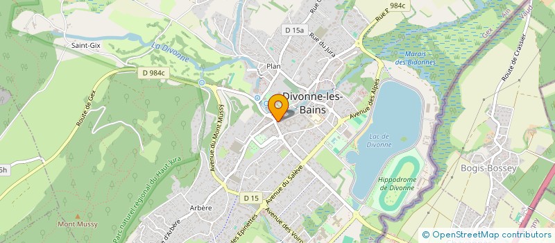 localisation de l'entreprise OPTIQUE DU GOLF à DIVONNE-LES-BAINS