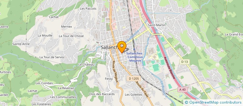 localisation de l'entreprise OPTIQUE LE BORGNE à SALLANCHES