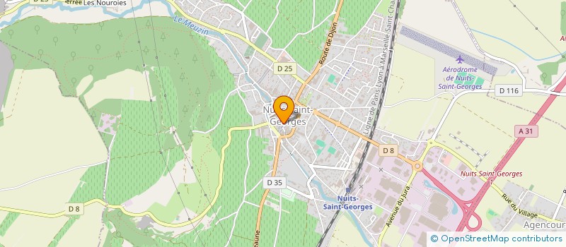 localisation de l'entreprise OPTIQUE MIDOL-MONNET à NUITS-SAINT-GEORGES