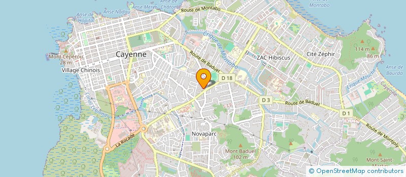 localisation de l'entreprise OR VERT à CAYENNE
