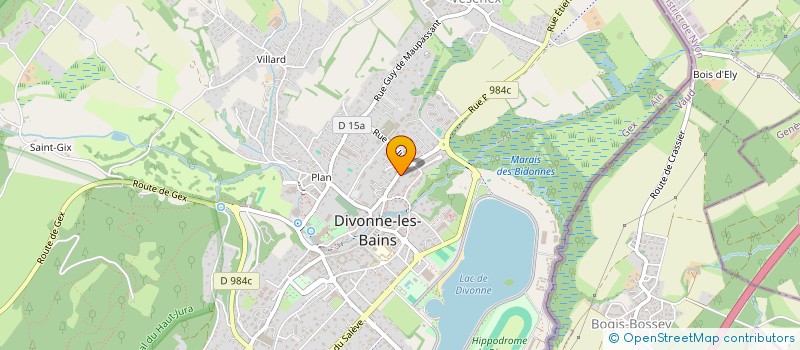 localisation de l'entreprise ORCHESTRE DES COPAINS  DIVONNE-LES-BAINS