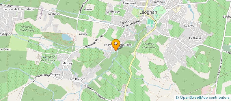 localisation de l'entreprise ORGANISATION CINEMATOGRAPHIQUE FAVARD à LEOGNAN