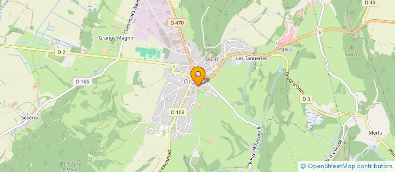 localisation de l'entreprise ORGELET SERVICES à ORGELET