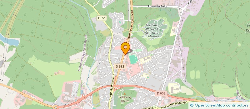 localisation de l'entreprise ORMONE  SAINT-AVOLD