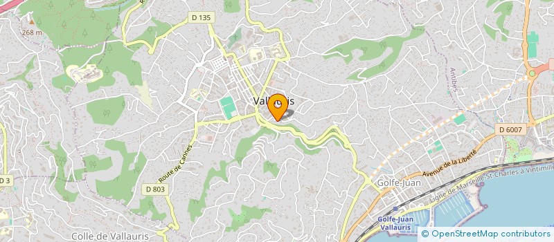 localisation de l'entreprise ORPHAID  VALLAURIS