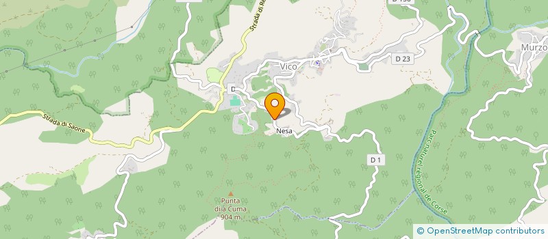 localisation de l'entreprise ORSINI 23  VICO