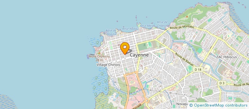 localisation de l'entreprise OSTARA - CENTRE DE FORMATION POUR APPRENTIS ET POUR ADULTES SECURITE à CAYENNE
