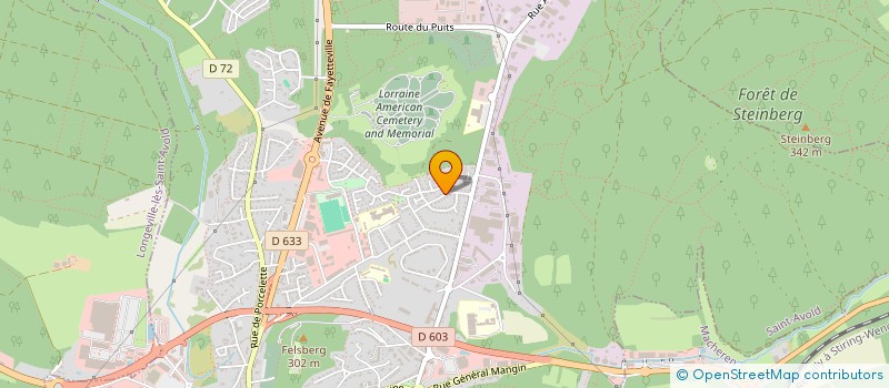 localisation de l'entreprise OSTRO IMMOBILIER  SAINT-AVOLD