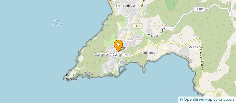 localisation de l'entreprise OTTAVI SECURITE SERVICE  CARGESE